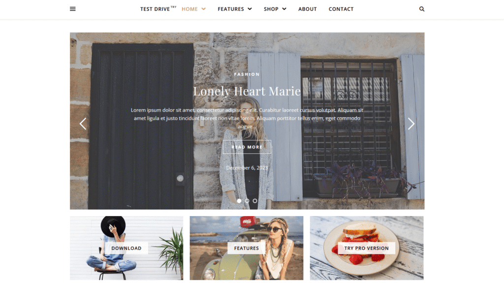 best free blog theme